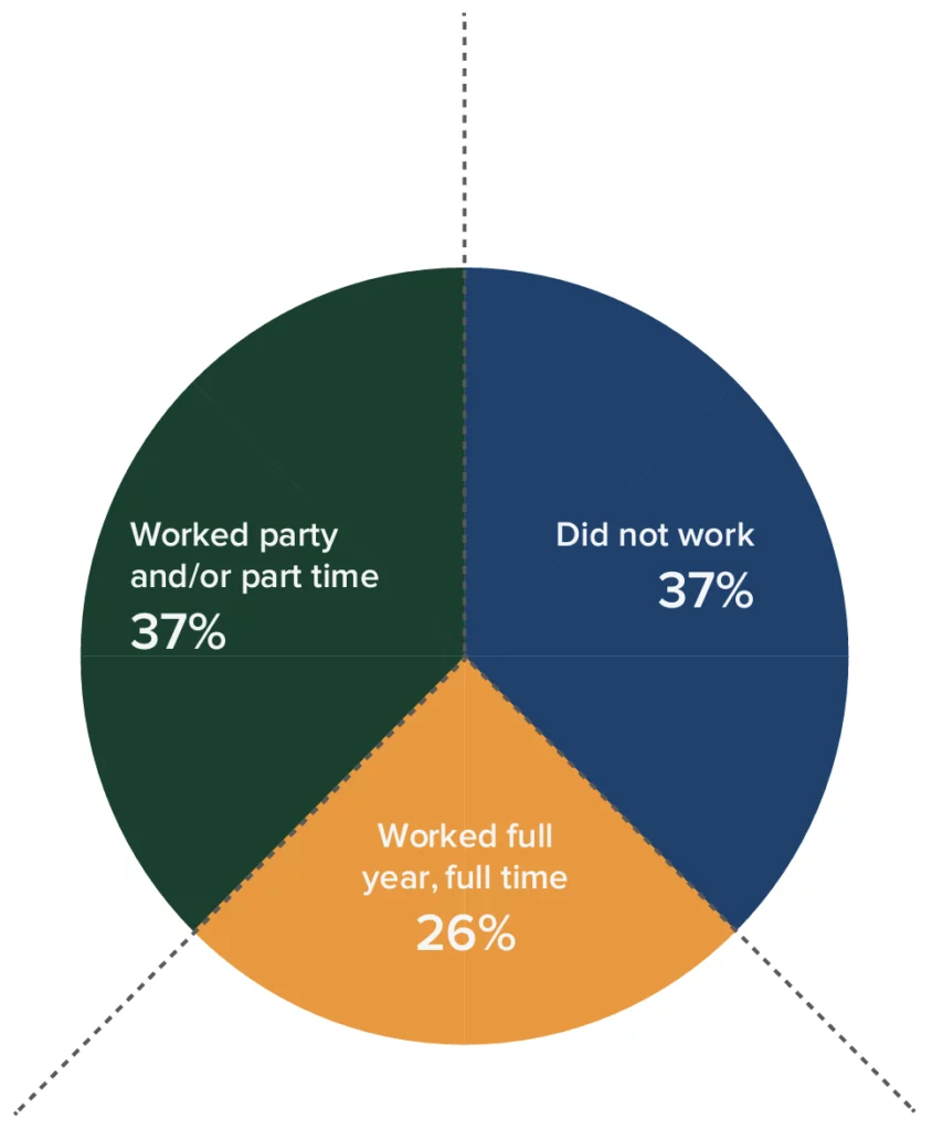 Pie chart with the following values: Worked party and/or part time 37% Did not work 37% Worked full year, full time 26%